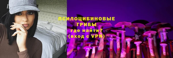 дурь Семилуки