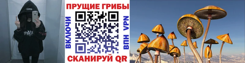 Галлюциногенные грибы прущие грибы  дарнет шоп  Воткинск 