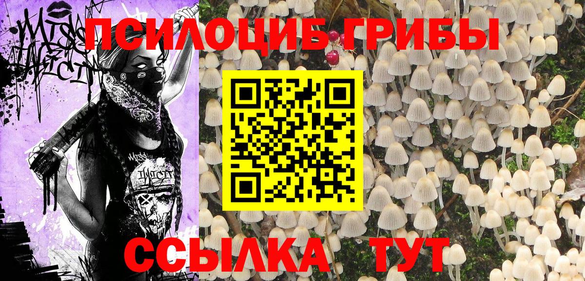 Воткинск  где купить наркоту  Вход с VPN  Псилоцибиновые грибы GOLDEN TEACHER  Псилоцибиновые грибы GOLDEN TEACHER 