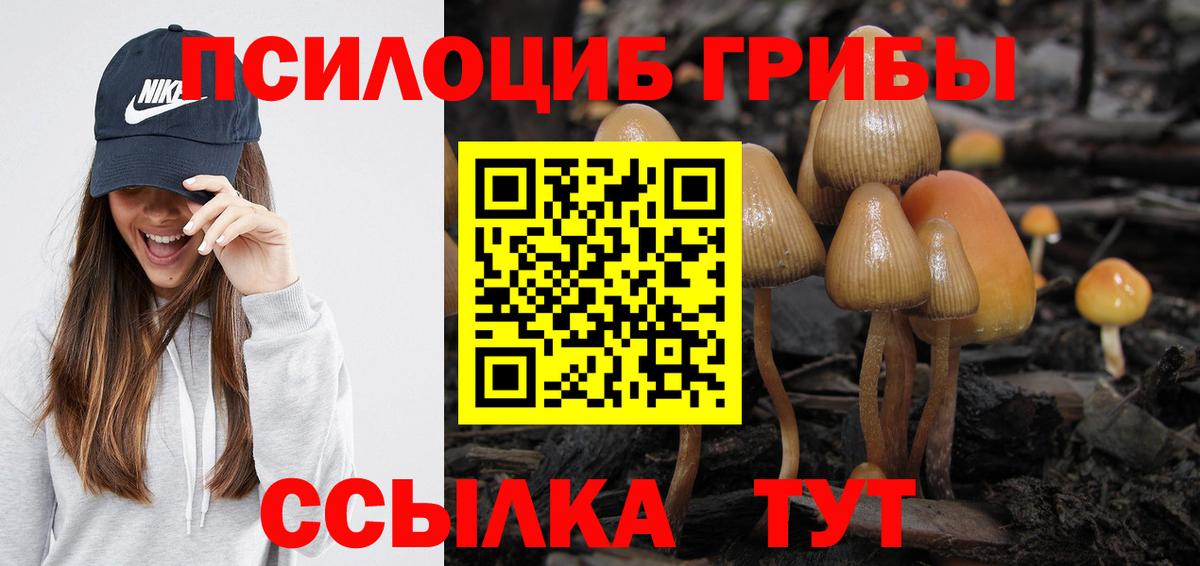 Галлюциногенные грибы прущие грибы  купить   Воткинск 